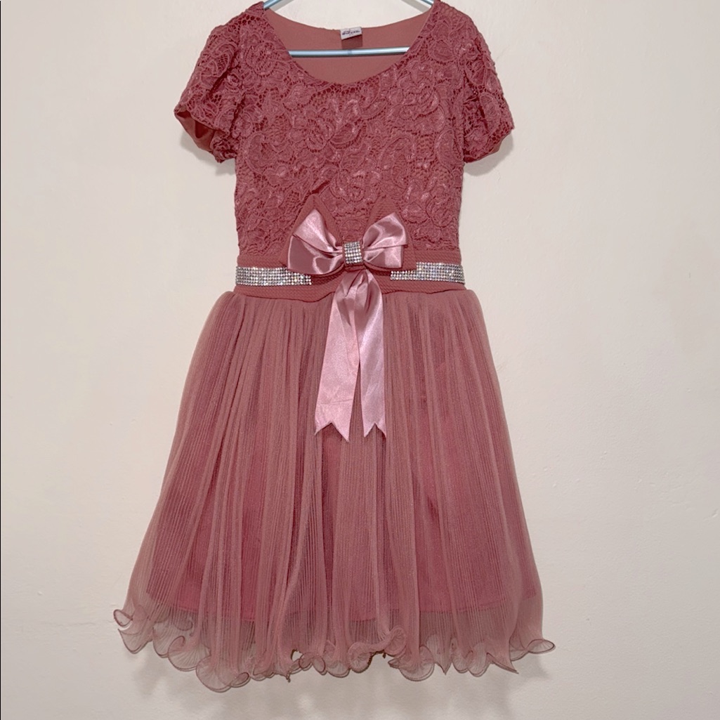 Adrik Kid Girl Size Large Dressy Dress